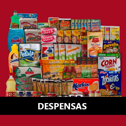 despensas-economicas